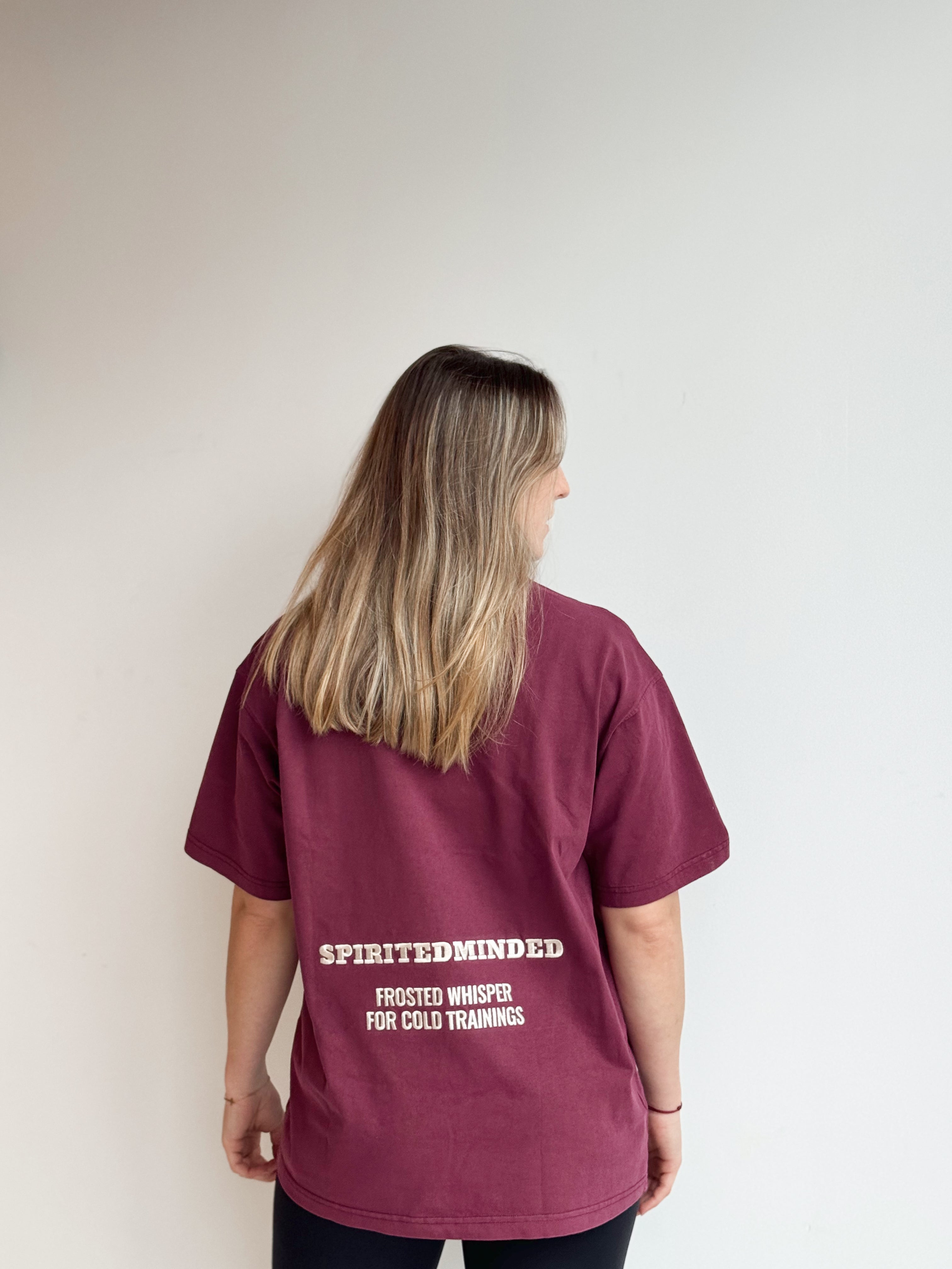T-SHIRT OVERSIZE UNISEXE "ALPINE SPIRIT"