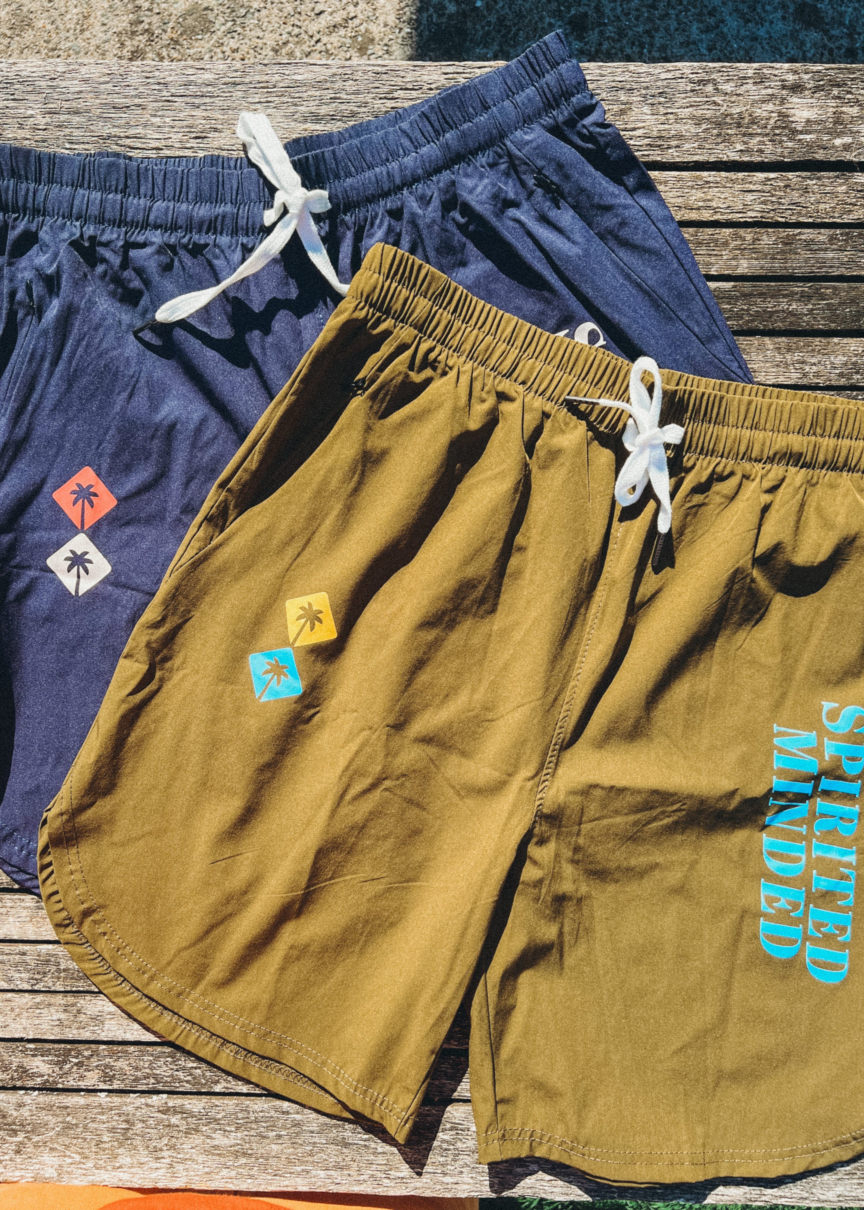 BOARDSHORT MICHIGAN