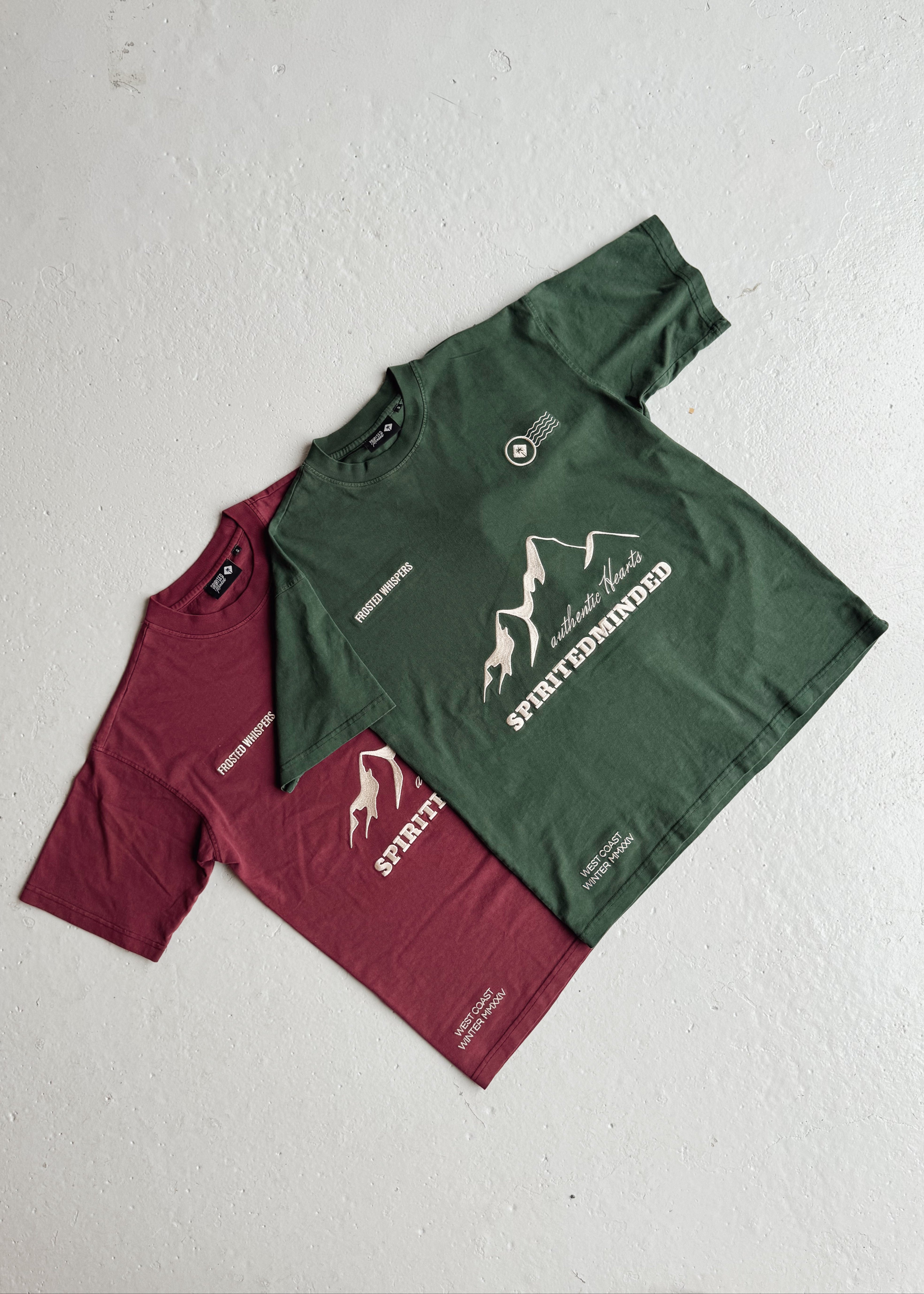 T-SHIRT OVERSIZE UNISEXE "ALPINE SPIRIT"