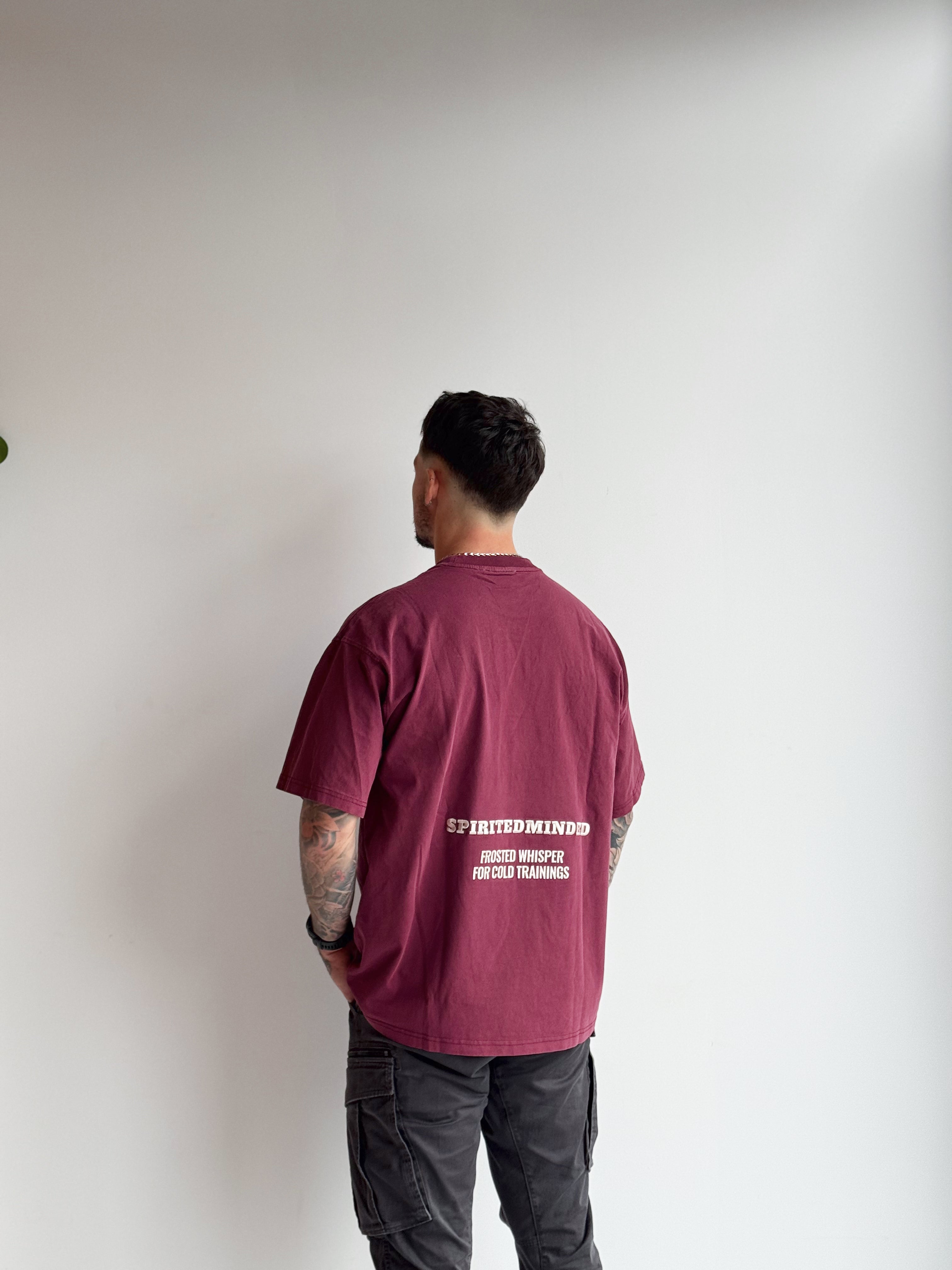 T-SHIRT OVERSIZE UNISEXE "ALPINE SPIRIT"