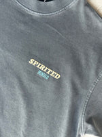 T-SHIRT BRODÉ OVERSIZE - GRIS